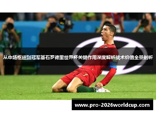 从中场枢纽到冠军基石罗德里世界杯关键作用深度解析战术价值全景剖析