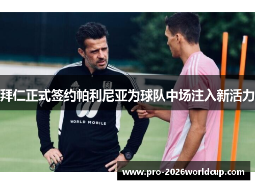 拜仁正式签约帕利尼亚为球队中场注入新活力